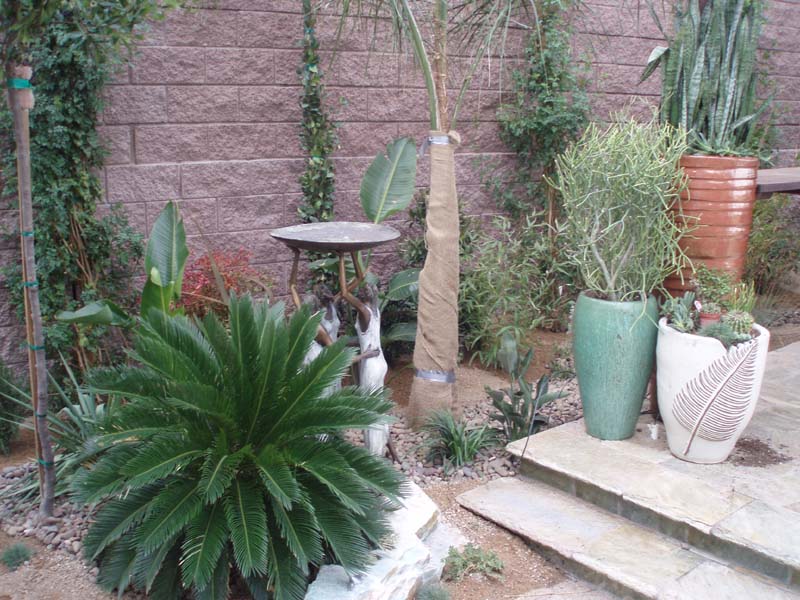 custom pools and spas by greencare.net